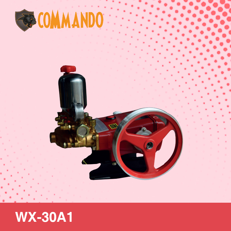 WX-30A1